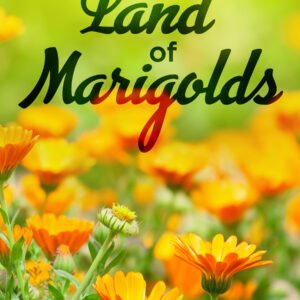 In the Land of the Marigolds