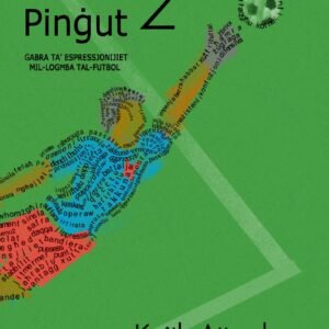 Ballun Pinġut 2